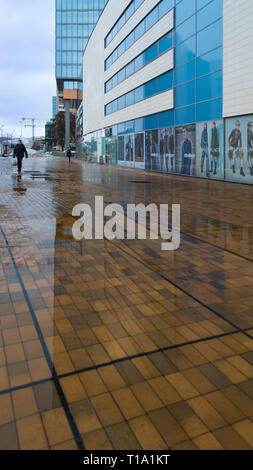 Vilnius/Litauen - 15. Februar 2019: eine weiße und eine blaue Gebäude und ihre Reflexion in der wasserpfütze auf dem Bürgersteig Stockfoto