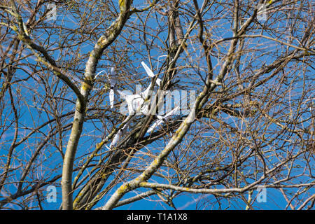 Ein Syma Drone Quadcopter krachte in die Zweige eines Baumes. Stockfoto