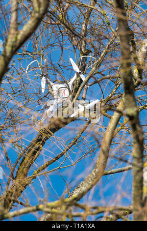 Ein Syma Drone Quadcopter krachte in die Zweige eines Baumes. Stockfoto