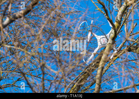 Ein Syma Drone Quadcopter krachte in die Zweige eines Baumes. Stockfoto