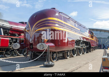 LMS Krönung Klasse6299 Herzogin von Hamilton stromlinienförmige Dampflok an der National Rail Museum in Shildon, County Durham, UK Stockfoto