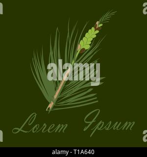 Kiefer Zweig mit grünen Nadeln und einen männlichen jungen Kegel auf einem dunklen Hintergrund. Hand gezeichnet, Design und Pine Cone gemalt. Moderner Minimal flacher Stil. Vektor Stock Vektor