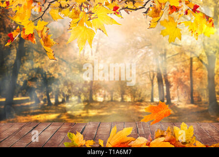 Blätter im Herbst Hintergrund Stockfoto