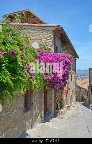 Castiglione della Pescaia, an der Küste der Toskana, Italien Stockfoto