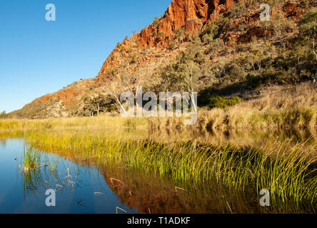 Glen Helen Gorge Stockfoto