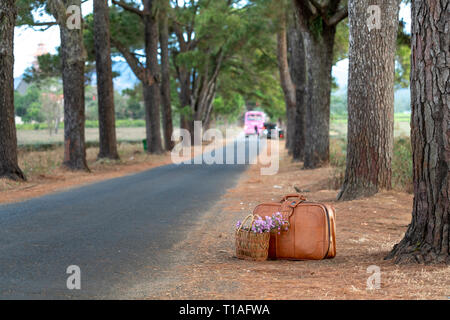 Alte Koffer und Strauß Gänseblümchen Blumen auf der Straße. Landschaft Stockfoto