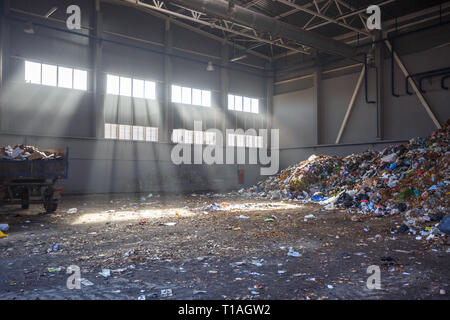 Müll sortieren und recycling Workshop mit Anhänger an die Abfallverwertung mit Sonnenstrahlen. Separate Garbage Collection. Recycling und Lagerung von w Stockfoto