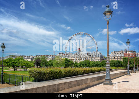 Jardin des Tuileries, Riesenrad im Hintergrund, Paris, Frankreich Stockfoto