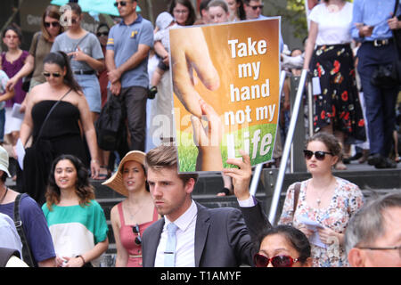 Sydney, Australien. 24. März 2019. Die St. Mary's Cathedral statt der jährlichen 'Tag der Masse auf das ungeborene Kind' und Prozession. Credit: Richard Milnes/Alamy leben Nachrichten Stockfoto