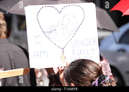 Sydney, Australien. 24. März 2019. Die St. Mary's Cathedral statt der jährlichen 'Tag der Masse auf das ungeborene Kind' und Prozession. Credit: Richard Milnes/Alamy leben Nachrichten Stockfoto