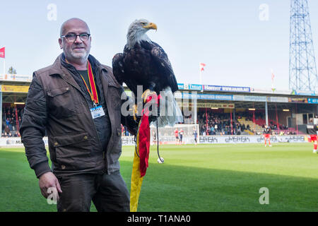 DEVENTER, Stadion De Adelaarshorst, 24-03-2019, Saison 2018 / 2019, Niederländische Keuken Kampioen Divisie. Ergebnis 1-2, Gerrit Zandvoort mit Eagle Harly während des Spiels Go Ahead Eagles - Twente Stockfoto