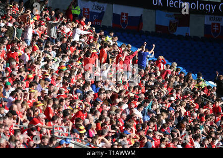 Cardiff, Großbritannien. 24 Mär, 2019. Wales Fans. UEFA Euro 2020 Qualifier match, Gruppe E, Wales v Slowakei in Cardiff City Stadium in Cardiff, South Wales am Sonntag, den 24. März 2019. pic von Andrew Obstgarten/Andrew Orchard sport Fotografie/Alamy live Nachrichten Leitartikel nur mit der Credit: Andrew Orchard sport Fotografie/Alamy leben Nachrichten Stockfoto