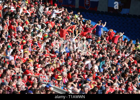 Cardiff, Großbritannien. 24 Mär, 2019. Wales Fans. UEFA Euro 2020 Qualifier match, Gruppe E, Wales v Slowakei in Cardiff City Stadium in Cardiff, South Wales am Sonntag, den 24. März 2019. pic von Andrew Obstgarten/Andrew Orchard sport Fotografie/Alamy live Nachrichten Leitartikel nur mit der Credit: Andrew Orchard sport Fotografie/Alamy leben Nachrichten Stockfoto