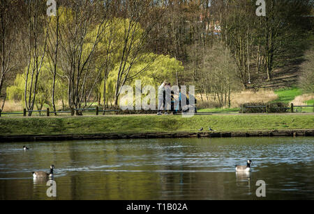 Bolton, Lancashire, UK. 25. März, 2019. Herrliche Frühlingssonne am Nachmittag den Volksmengen, die zu Mose Gate Country Park, Bolton, Lancashire gebracht. Der perfekte Start in die Woche als blauen Himmel und warmen Sonnenschein werden voraussichtlich bis zum Wochenende im Nordwesten von England, um fortzufahren. Ein paar Mütter schieben ihre Kinderwagen rund um die Lodges. Bild per Kreditkarte: Paul Heyes/Alamy leben Nachrichten Stockfoto