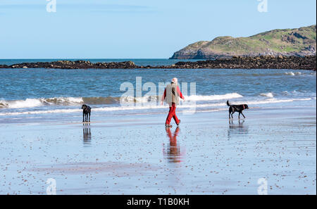 Firth-of-Forth, East Lothian, Schottland, Vereinigtes Königreich, 25. März 2-19. UK Wetter: Frühling Sonnenschein an der Küste, das ist ein Teil des John Muir, mit Menschen im Freien genießen. Ein älterer Mann seine Hunde am Strand bei Ebbe mit Craigleith Insel am Horizont Stockfoto
