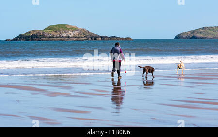 Firth of Forth, East Lothian, Schottland, Großbritannien, 25th. März 2-19. UK Wetter: Frühlingssonne an der Küste, die Teil des John Muir Way ist, mit Menschen genießen die Natur. Eine Frau geht bei Ebbe mit Hunden am Strand von Yellowcraigs mit Inseln am Horizont Stockfoto