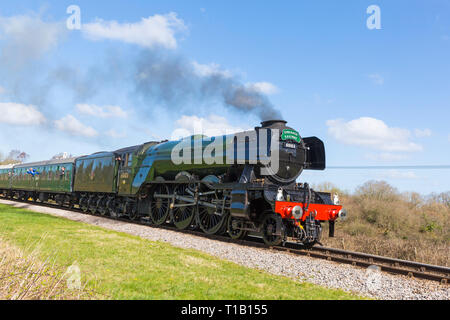 Corfe Castle Dorset, Großbritannien. 25 Mär, 2019. Der Flying Scotsman reisen durch die schöne Landschaft von Dorset, an einem wunderschönen warmen sonnigen Tag in Corfe Castle und Menschenmassen sehen Ihr vorbeigehen. Credit: Carolyn Jenkins/Alamy leben Nachrichten Stockfoto