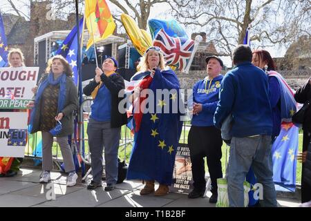 London, Großbritannien. 25. Mär 2019. Bleiben Demonstranten, Houses of Parliament, Westminster, London. UK Credit: michael Melia/Alamy leben Nachrichten Stockfoto