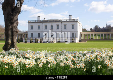 London, Großbritannien. 25. März, 2019. Weiß und Orange Narzissen dargestellt im Sonnenschein vor der historischen Queen's House in Greenwich. Credit: Rob Powell/Alamy leben Nachrichten