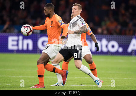 Georginio WIJNALDUM (l., NED) versus Toni Kroos (GER), Aktion, Duellen, Fußball Länder übereinstimmen, EM-Qualifikation, Gruppe C, Niederlande (NED) - Deutschland (GER) 2:3, am 24.03.2019 in der Johan Cruyff Arena in Amsterdam/Niederlande. ##DFB/UEFA-Bestimmungen verbieten die Verwendung von Fotografien als Bildsequenzen und/oder quasi-Video## € | Nutzung weltweit Stockfoto