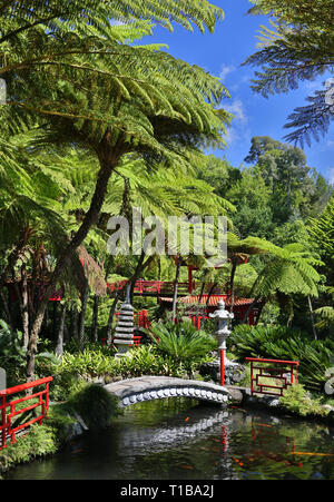 Orientalischer Garten in der Jardim Tropical Monte Palace (Madeira, Portugal) Stockfoto