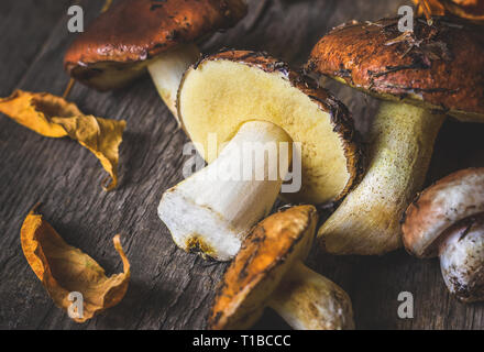 Essbare Pilze, im Wald auf hölzernen Hintergrund gesammelt. Stockfoto