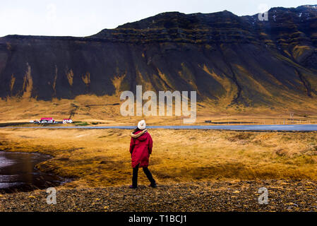 Frau den herrlichen isländische Landschaft auf Island reise Stockfoto