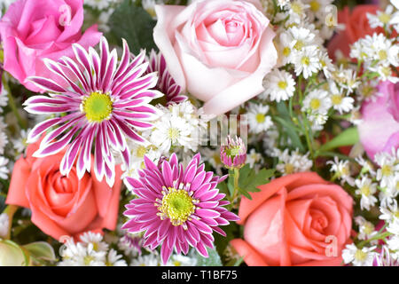 Chrysanthemum flower und Rose Bouquet, schöne Blumen, Textur, blumige Muster Hintergrund, Rose Blume, rosa Blume, blumige Texture, blumig Stockfoto