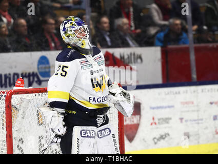 LINKÖPING 20180203 HV: s målvakt Nr 25 Adam Åhman unter matchen ich SHL mellan Linköpings HC-HV 71 ich Saab Arena. Foto Jeppe Gustafsson Stockfoto