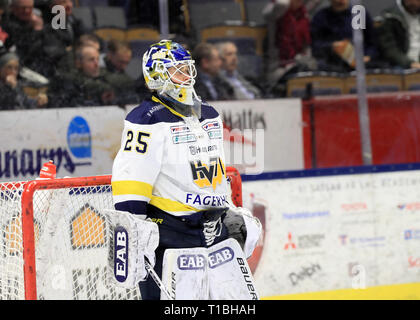 LINKÖPING 20180203 HV: s målvakt Nr 25 Adam Åhman unter matchen ich SHL mellan Linköpings HC-HV 71 ich Saab Arena. Foto Jeppe Gustafsson Stockfoto