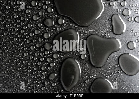 Wassertropfen auf einem schwarzen, matten Hintergrund mit einem zarten Licht beleuchtet. Stockfoto