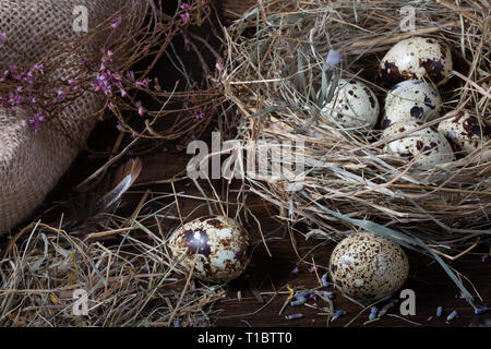 Ostern noch leben. Wachtel Eier im Nest und auf dem alten Holztisch in der Scheune unter Heu und getrocknete Blumen. Stockfoto