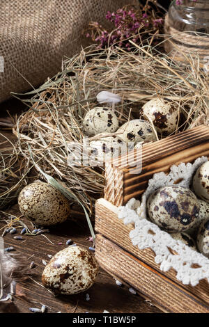 Stillleben mit wachteleier Niedlich. Wachtel Eier im Nest und auf dem alten Holztisch in der Scheune unter vintage Reihen und getrockneten Blumen. Ostern noch li Stockfoto