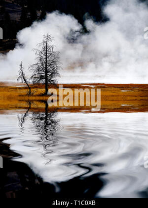 Geysire und Dampf aus heißen Quellen im Yellowstone National Park Reflexion steigende in Wasser Teich See widerspiegeln Stockfoto