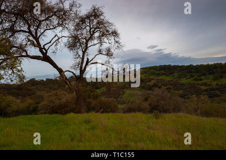 Sonnenaufgang in Quicksilver Park, mit Blick auf den San Jose, CA Stockfoto