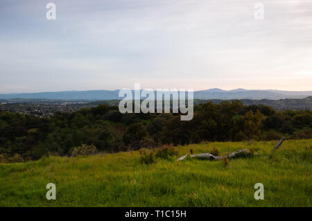 Sonnenaufgang in Quicksilver Park, mit Blick auf den San Jose, CA Stockfoto