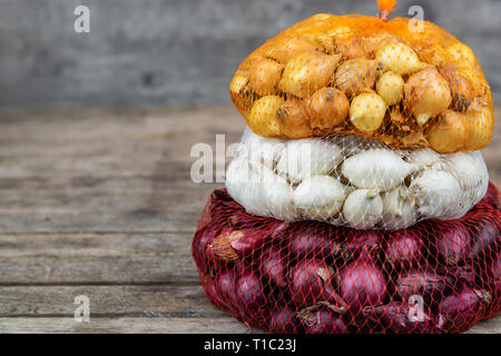 Gelb Rot und Weiß kleine Zwiebel in Plastiktüten, zum Anpflanzen auf einer hölzernen Hintergrund vorbereitet. Stockfoto