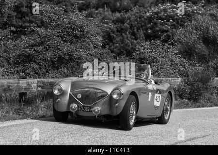 AUSTIN HEALEY 100/4 BN2 1956 auf einem alten Rennwagen Rallye Mille Miglia 2018 die berühmte italienische historische Rennen (1927-1957) Stockfoto