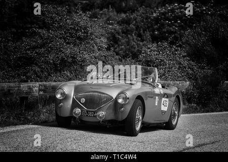 AUSTIN HEALEY 100/4 BN2 1956 auf einem alten Rennwagen Rallye Mille Miglia 2018 die berühmte italienische historische Rennen (1927-1957) Stockfoto