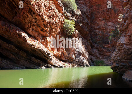 Smaragdgrüne Wasser der Simpsons Gap, Northern Territory, Australien Stockfoto