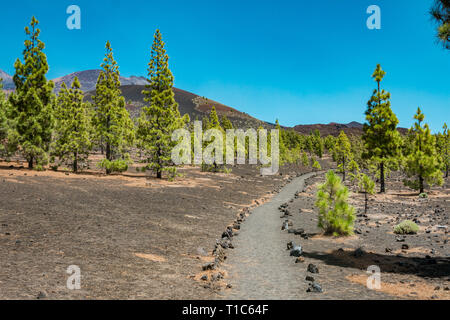 Bunter Blick auf den Nationalpark Teide auf Teneriffa Stockfoto