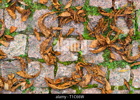 Laub auf Granit Kopfsteinpflaster. Rot Braun Naturstein gehackt Kopfsteinpflaster Hintergrund. Stockfoto