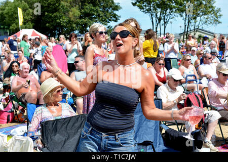 Musikfans, die bei Musikfestivals in England jubeln und mitsingen Stockfoto