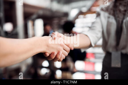 Ein Mittelteil von jungen Geschäftsfrauen, die Hände zu schütteln. Stockfoto