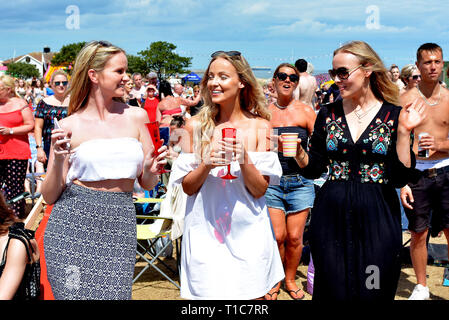 Musikfans, die bei Musikfestivals in England jubeln und mitsingen Stockfoto