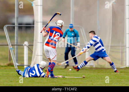 Shinty Aktion aus dem Badenoch derby Newtonmore v Kingussie im MOWI Premiership, gespielt am Eilan, Newtonmore. Stockfoto