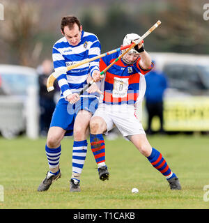 Shinty Aktion aus dem Badenoch derby Newtonmore v Kingussie im MOWI Premiership, gespielt am Eilan, Newtonmore. Stockfoto