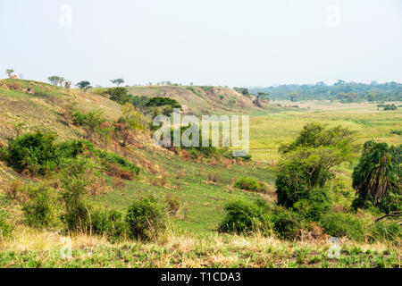 Üppig grüne Landschaft von ishasha Sektor des Queen Elizabeth National Park im Südwesten von Uganda, Ostafrika Stockfoto