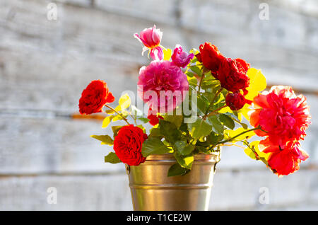 Ein Strauß frischer Rosen in einem Aluminium Schaufel. Sonnigen Tag, Hintergrundbeleuchtung Stockfoto