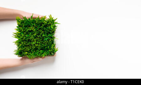 Frau mit Gras Pflanze in eckigen Topf Stockfoto